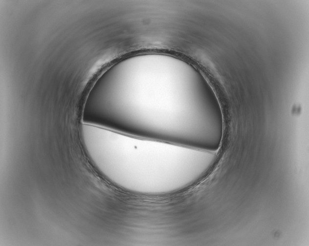 X0000094351218200711021305