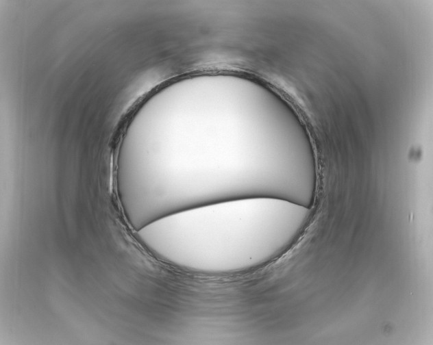 X0000094351219200711021305
