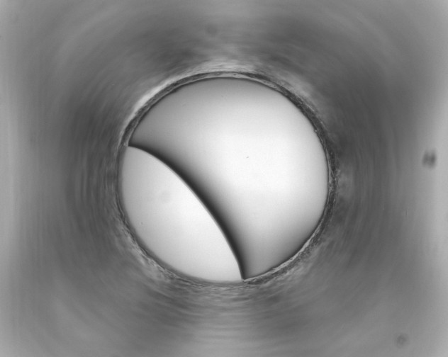 X0000094351220200711021305