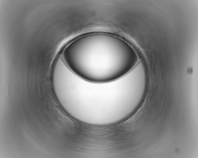 X0000094351222200711021305