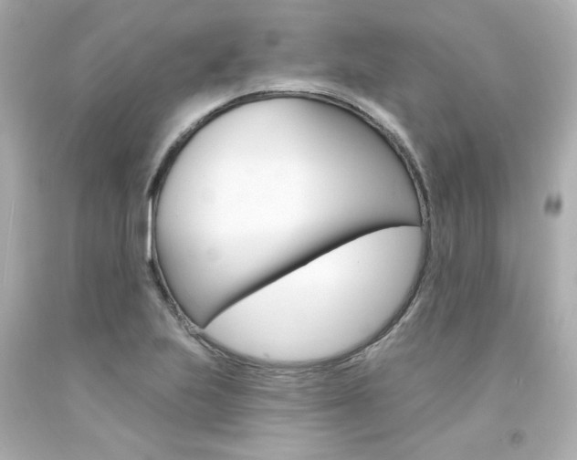 X0000094351223200711021305