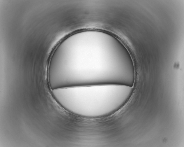 X0000094351224200711021305