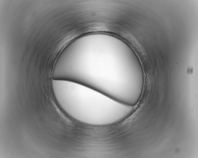 X0000094351225200711021305