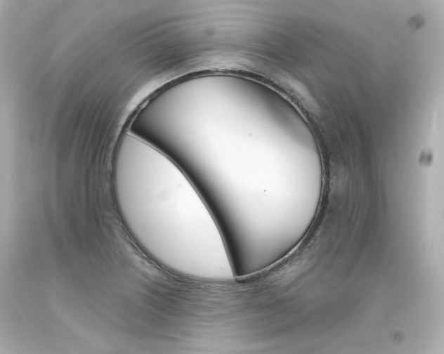 X0000094351226200711021305