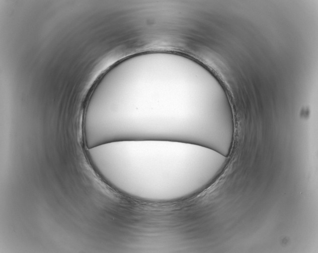 X0000094351227200711021305