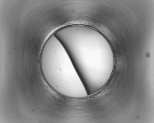 X0000094351228200711021305
