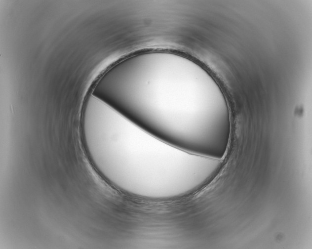 X0000094351229200711021305