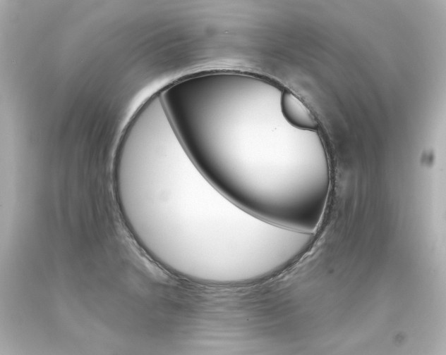 X0000094351230200711021305