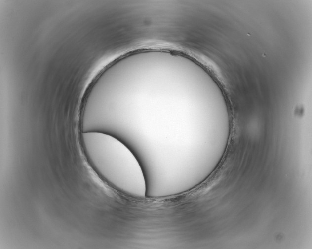 X0000094351231200711021305