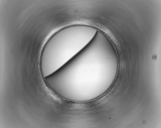 X0000094351232200711021305