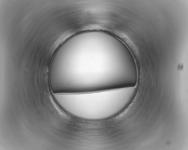 X0000094351233200711021305