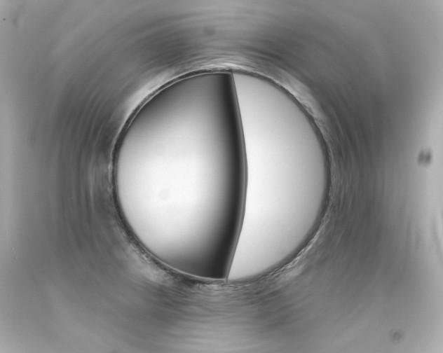 X0000094351234200711021305