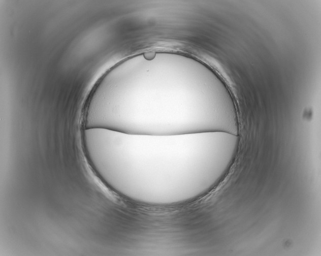 X0000094351235200711021305