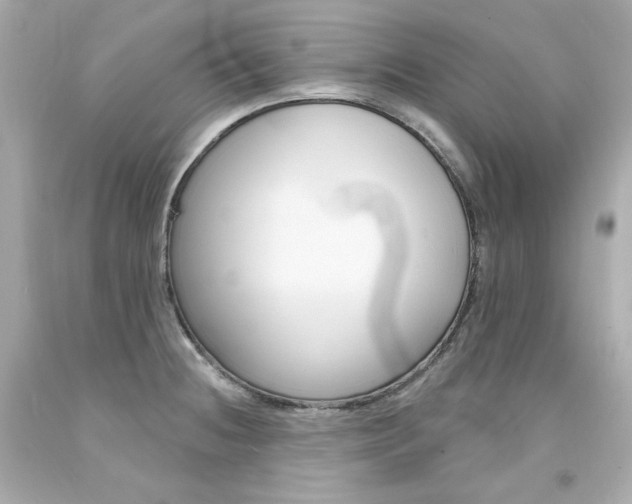 X0000094351236200711021305