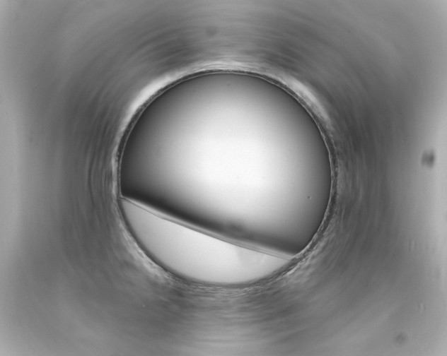 X0000094351238200711021305
