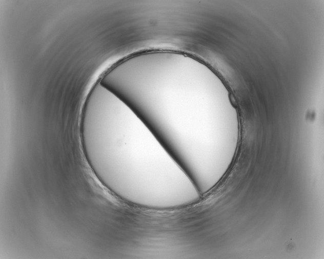 X0000094351240200711021306