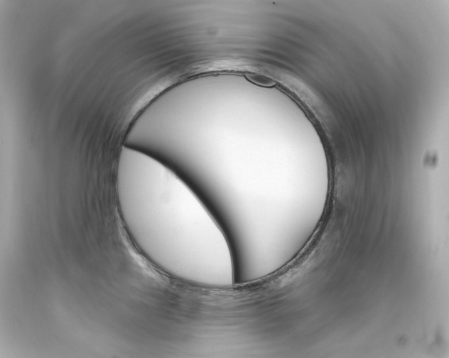 X0000094351241200711021306