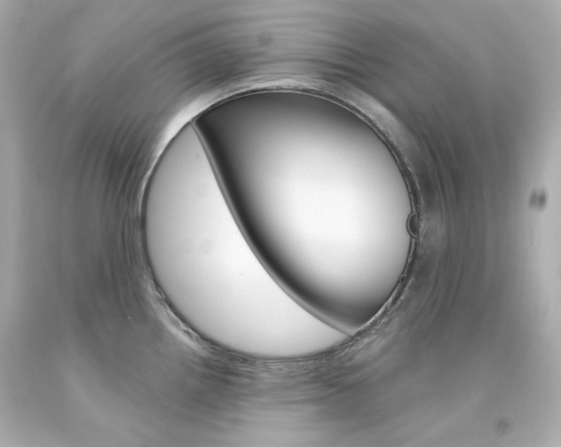 X0000094351242200711021306
