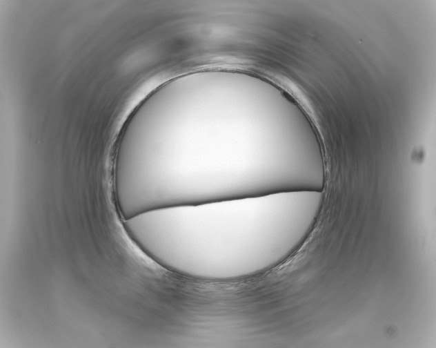 X0000094351243200711021306