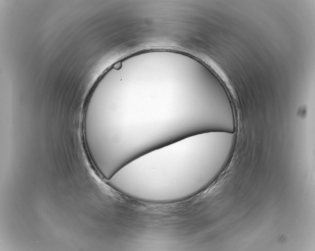 X0000094351245200711021306