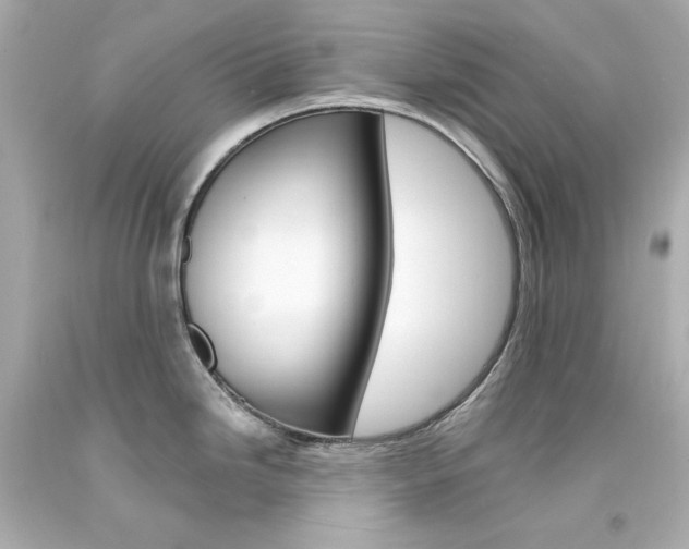 X0000094351246200711021306
