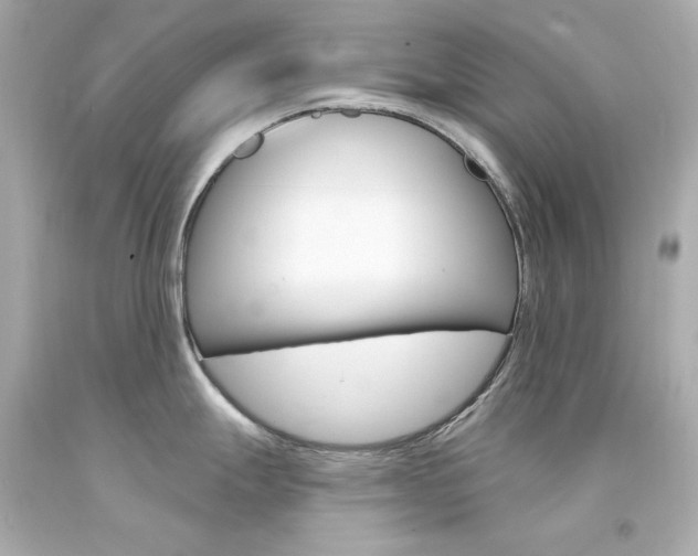 X0000094351247200711021306