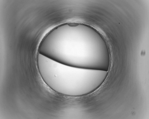 X0000094351248200711021306