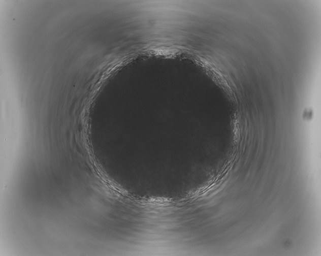 X0000094351249200711021305
