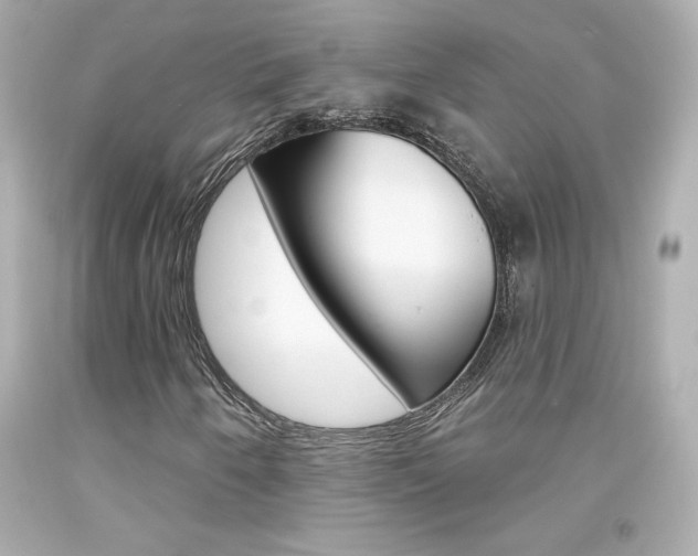 X0000094351250200711021305