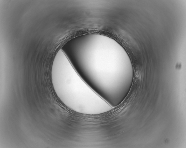 X0000094351252200711021305