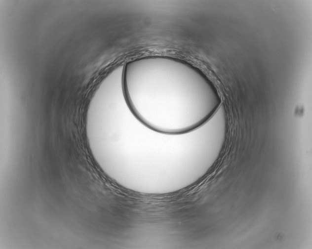 X0000094351253200711021305