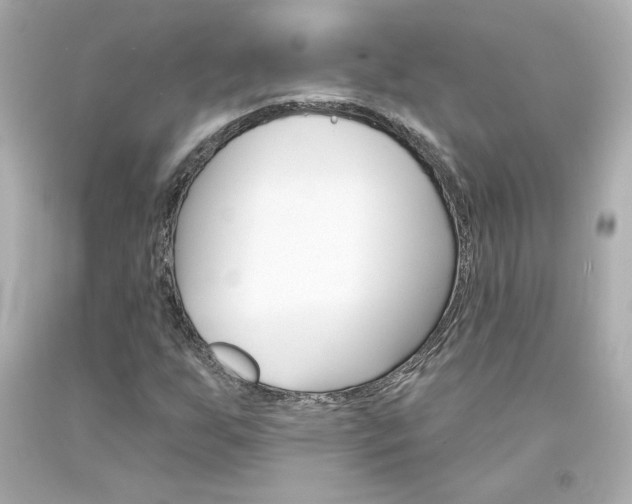 X0000094351255200711021305