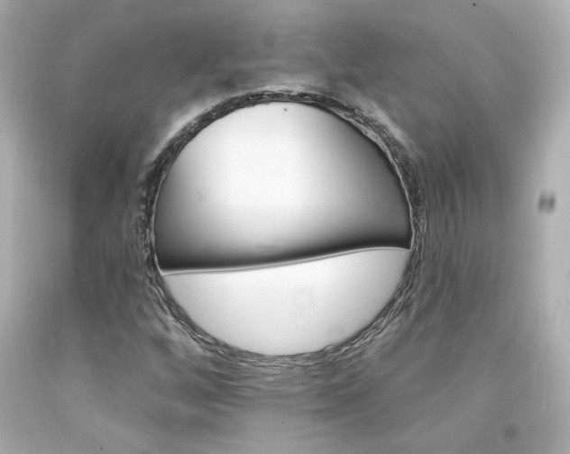X0000094351256200711021305