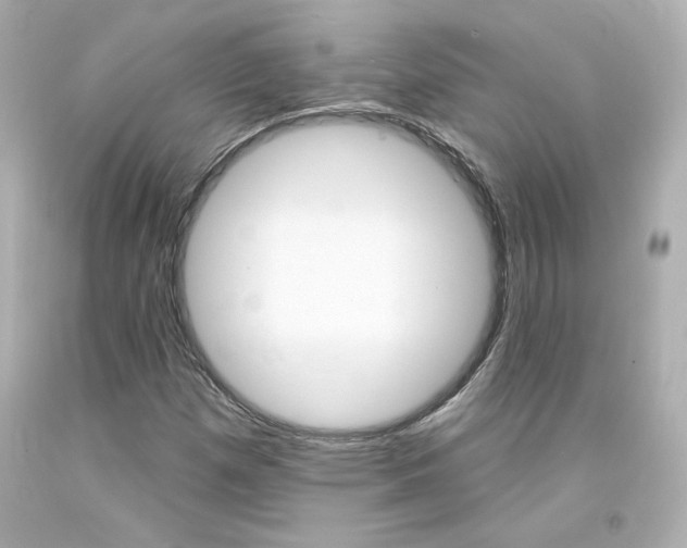 X0000094351257200711021305