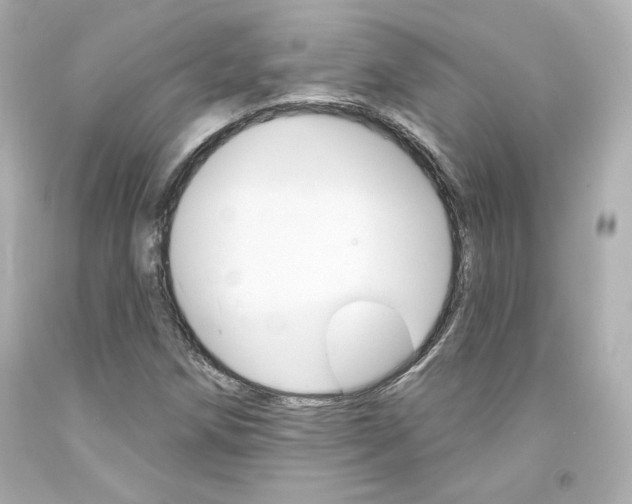 X0000094351258200711021305