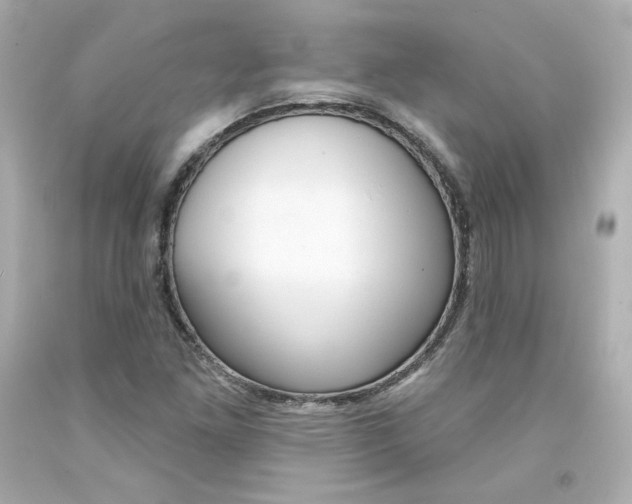 X0000094351261200711021305