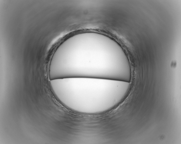 X0000094351262200711021305