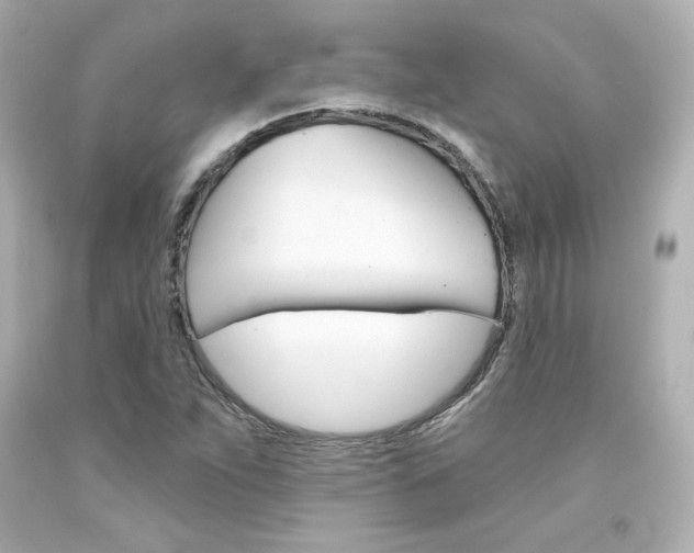 X0000094351263200711021305