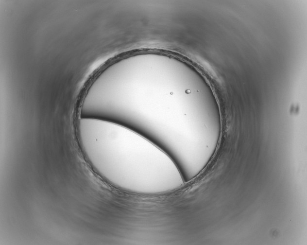 X0000094351264200711021305