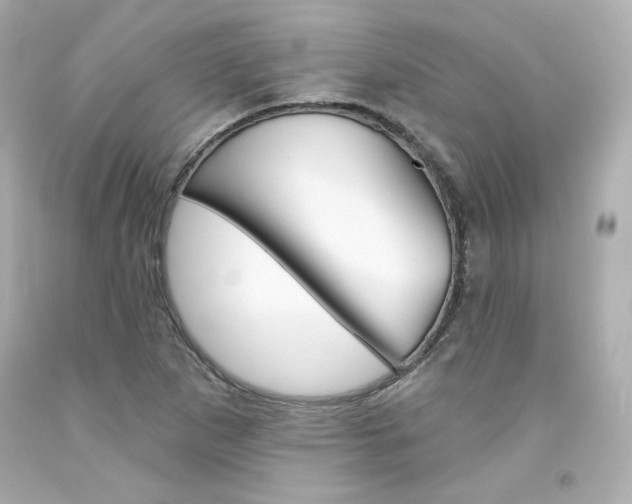 X0000094351265200711021305