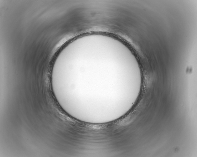 X0000094351266200711021305