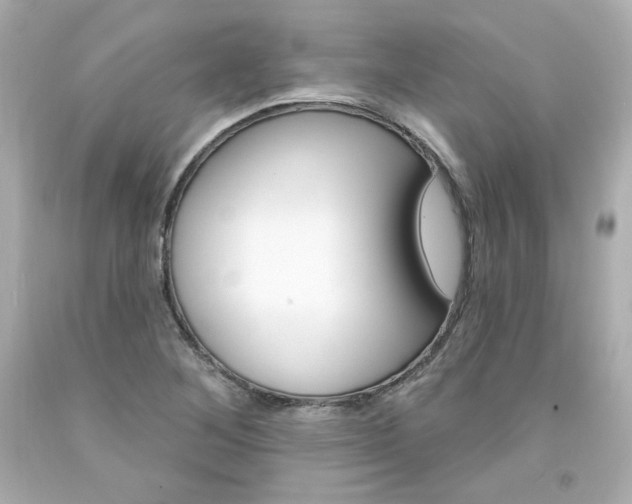 X0000094351268200711021305