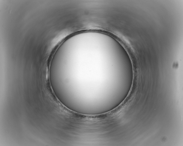 X0000094351269200711021305