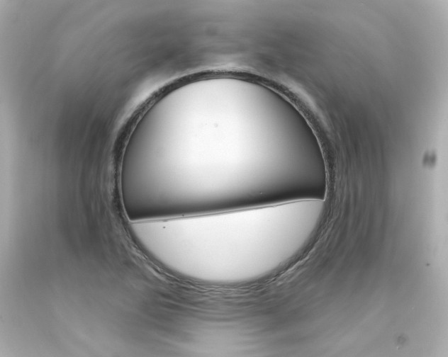 X0000094351270200711021305