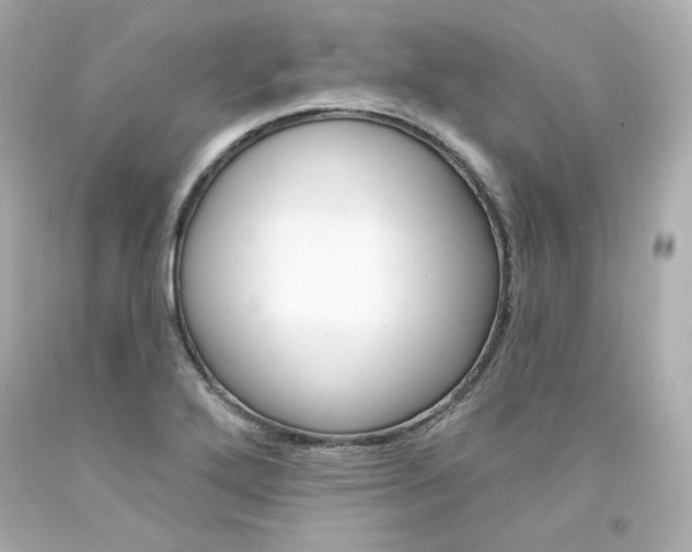 X0000094351272200711021304