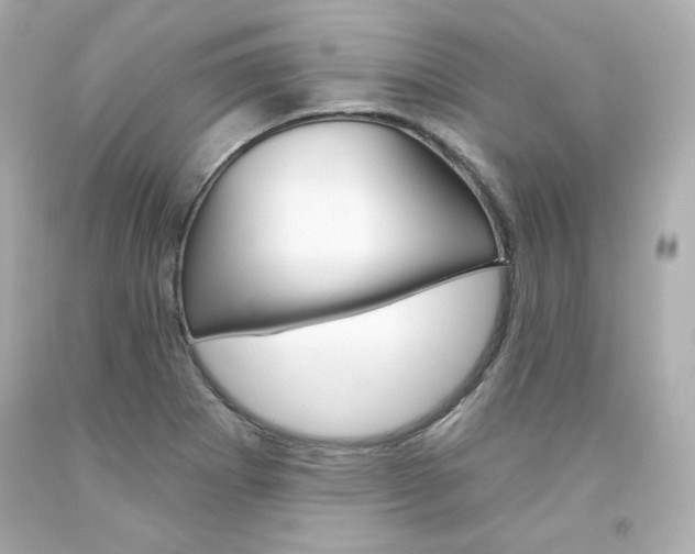 X0000094351273200711021304