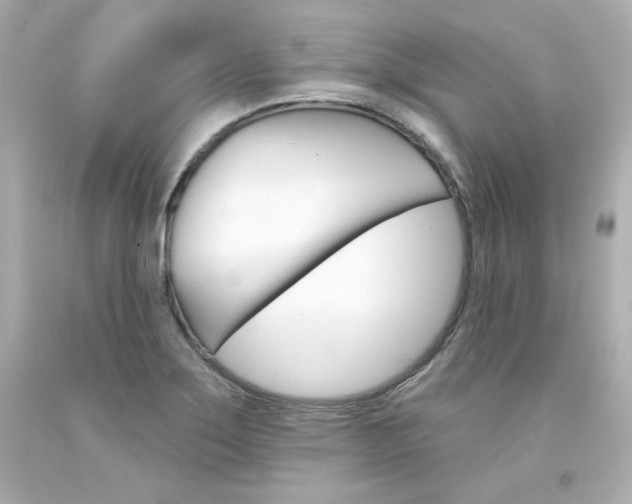 X0000094351275200711021304