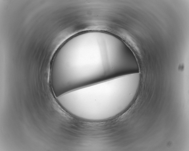 X0000094351276200711021304