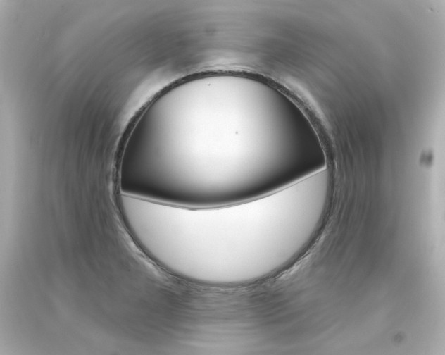 X0000094351277200711021304