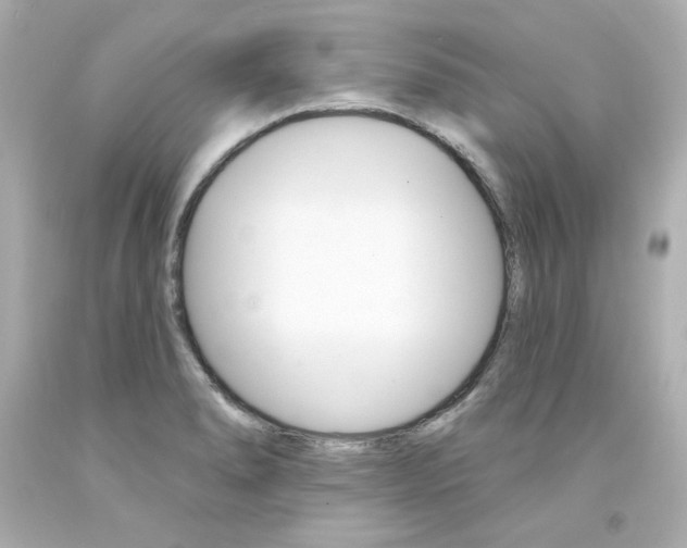 X0000094351278200711021304